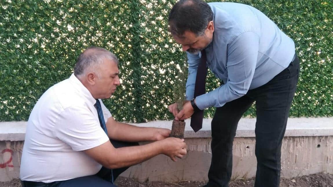 ORMAN YANGINLARINA KARŞI YEŞİL VATANI KORUMAK